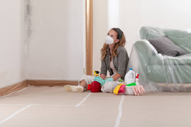 Reliable Basement Mold Removal contractor in Midland, PA by WQB Mold Removal